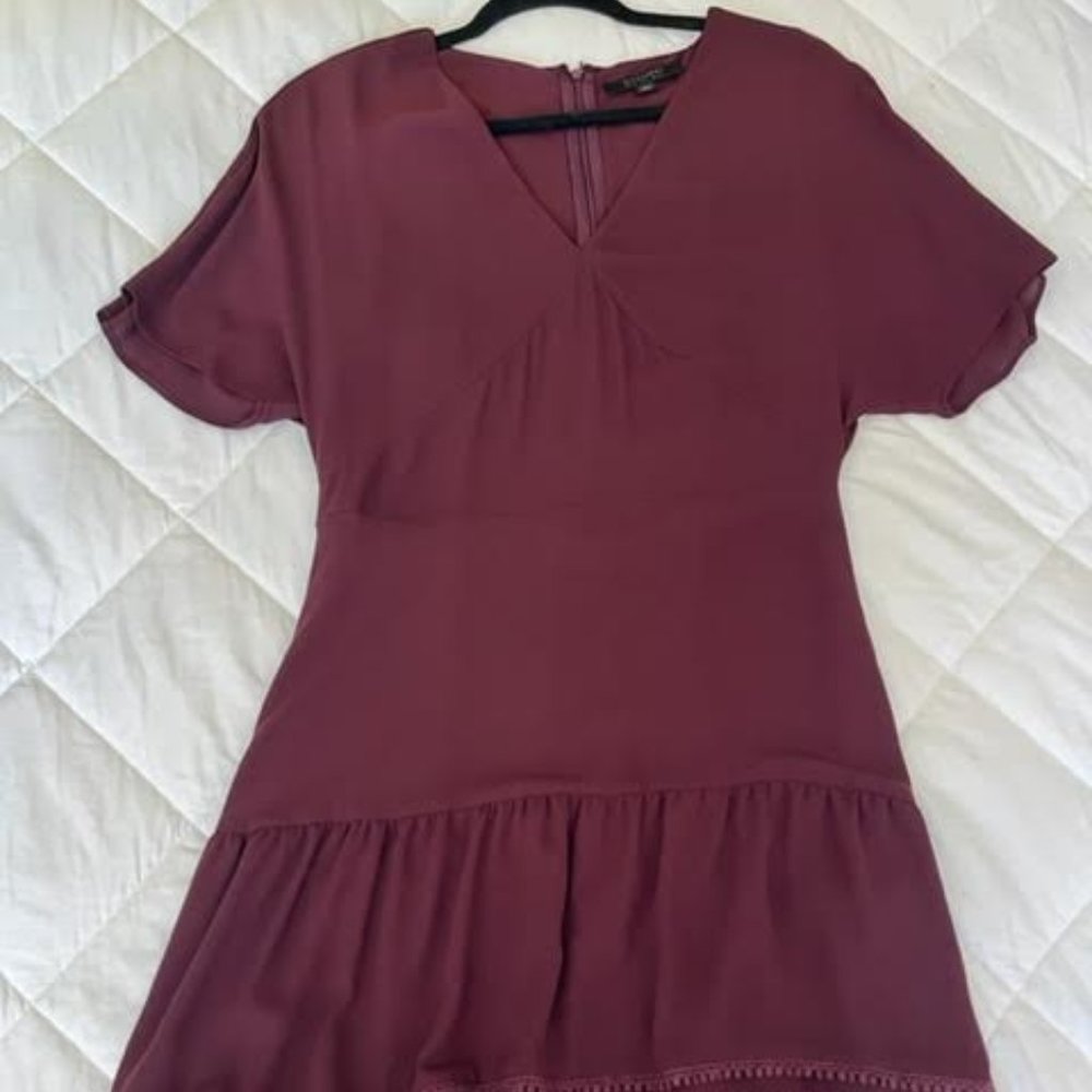 All Saints Burgundy Mini Dress